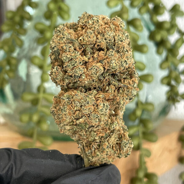 Fleurs CBD Tropical OG cultivée en intérieur dans le Rhône (France)