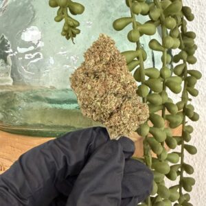 Critical 2.0 CBD