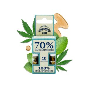 Lot de 2 cartouches CBD Pen Stick Greeneo saveur menthe