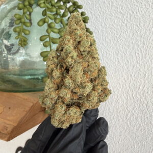 Amnesia US CBD