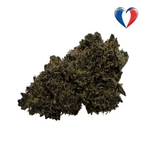 Fleurs CBD La Bleue du Vercors (blueberry), cultivée en France dans le Vercors (Ourdoor BIO)
