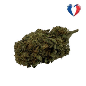 Fleurs CBD Space Candy, cultivée en France dans le Vercors (Ourdoor BIO)