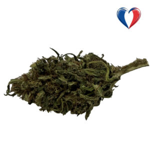Fleurs CBD Tropicale Haze, cultivée en France dans le Vercors (Ourdoor BIO)